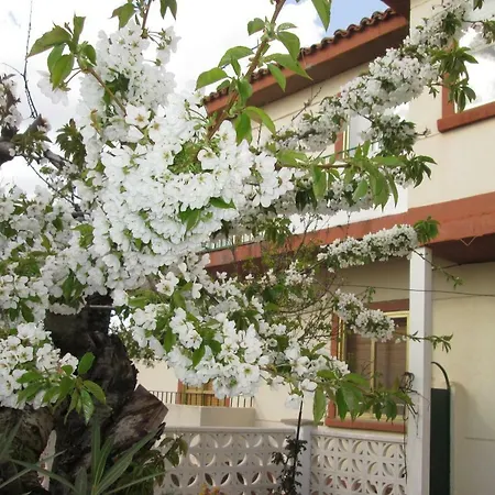 Apartamento Cuencaloft El Patio De Pipo Cuenca (Castilla-La Mancha)